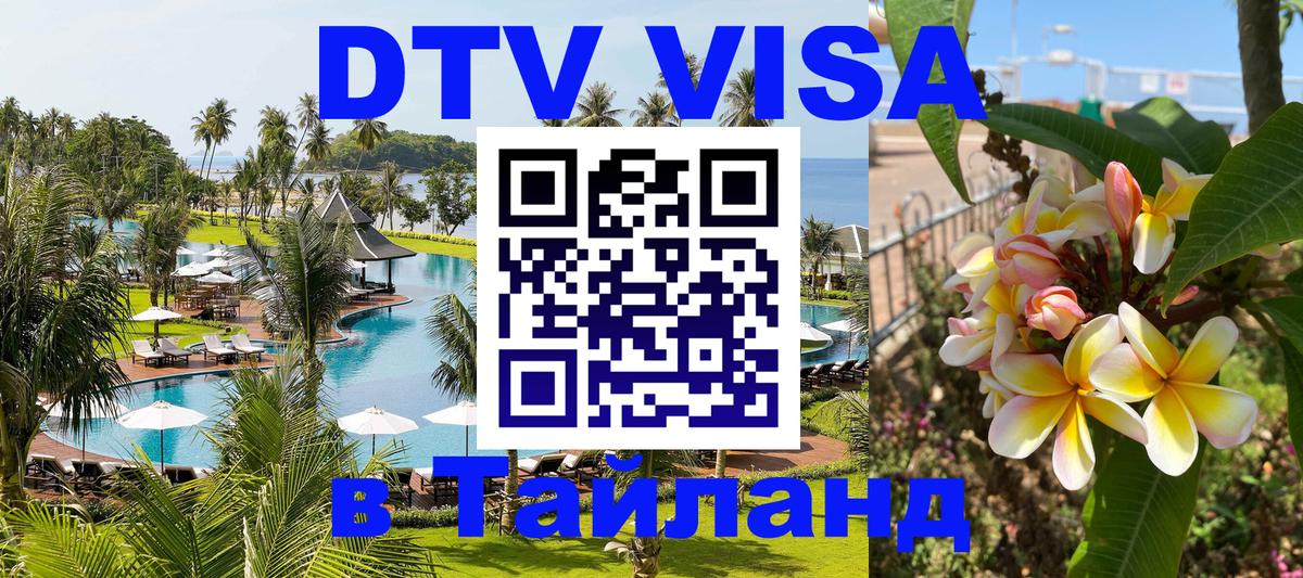 Сколько стоит DTV виза — актуальные цены, оформление даже без документов - Северодвинск 